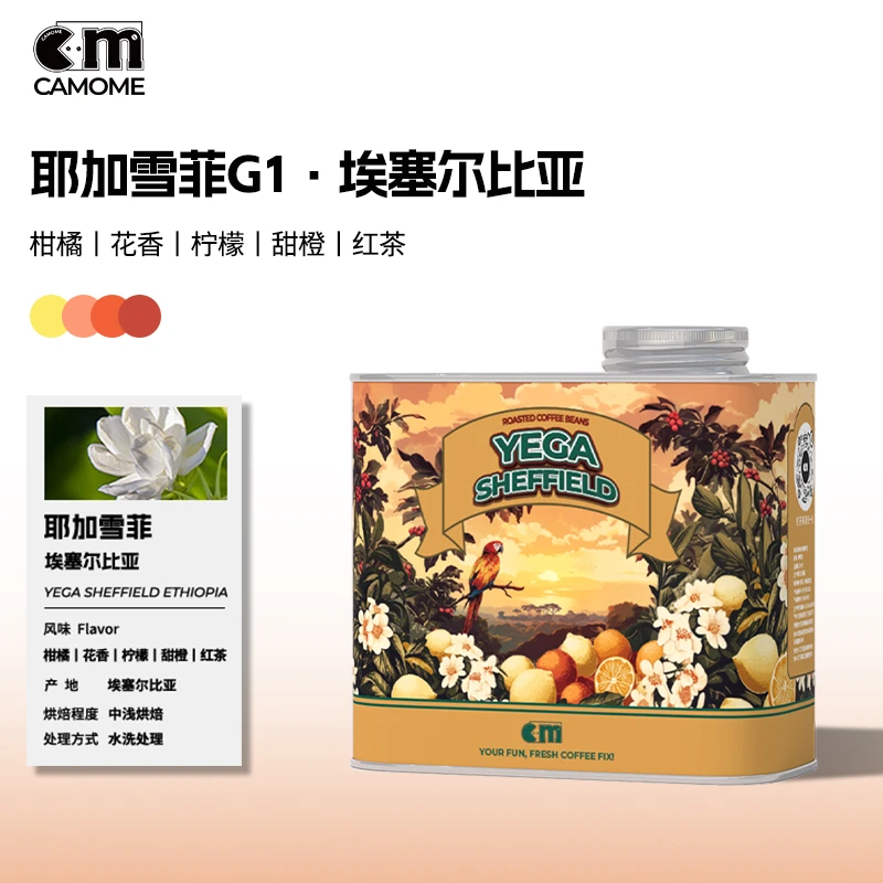 精品咖啡豆耶加雪菲G1埃塞尔比亚SOE茉莉花香柑橘红茶浅烘培新鲜