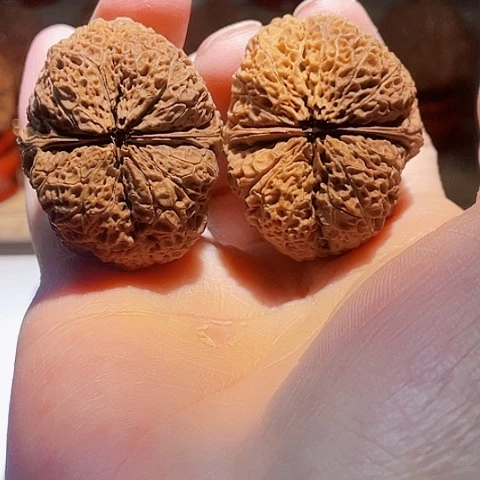 文玩核桃把件兜底金蟾带彩磕尖40