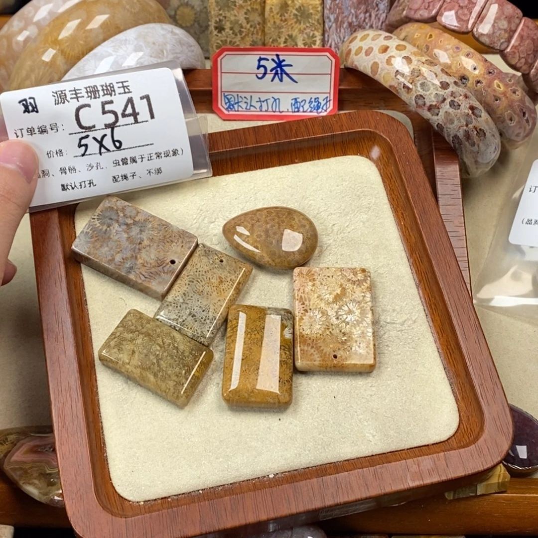 A***外硅化玉未镶嵌颈饰