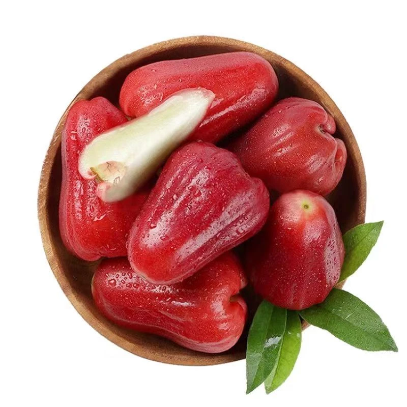 海南黑金刚莲雾3斤装新鲜黑金刚莲雾海南省