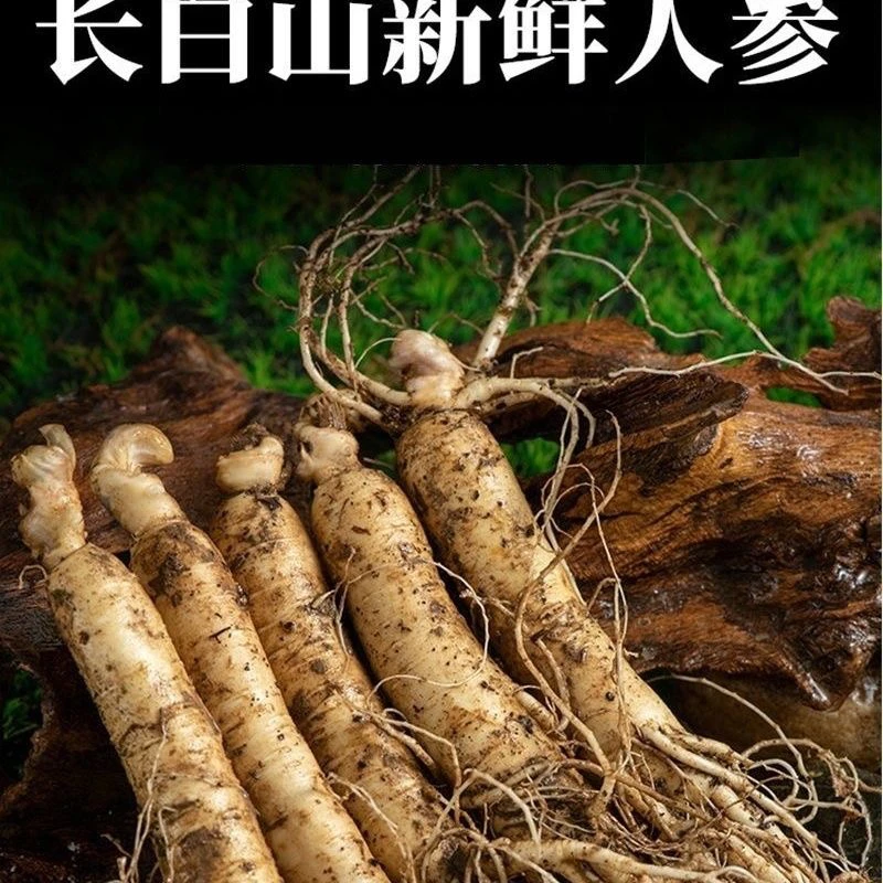 长白山新鲜人参6到7支1斤