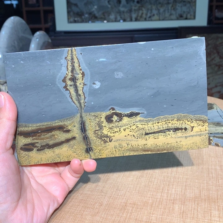 ，广西国画石摆件，收藏观赏