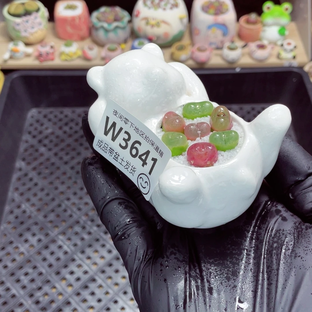 夜间零下地区拍保温箱w3641