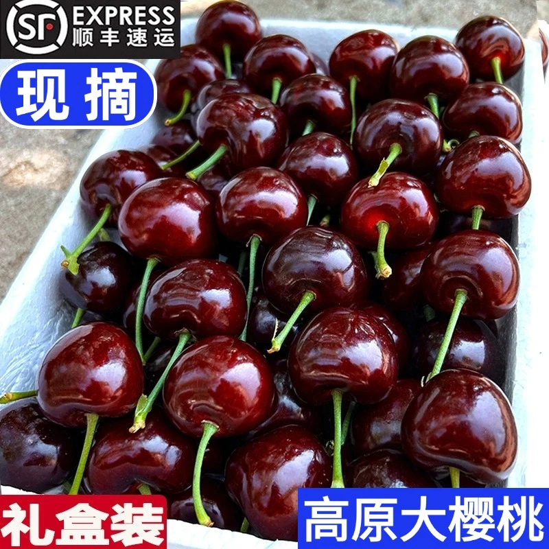 【顺丰空运】陕西高原美早大樱桃3/5斤新鲜水果当季礼盒孕妇包邮GG