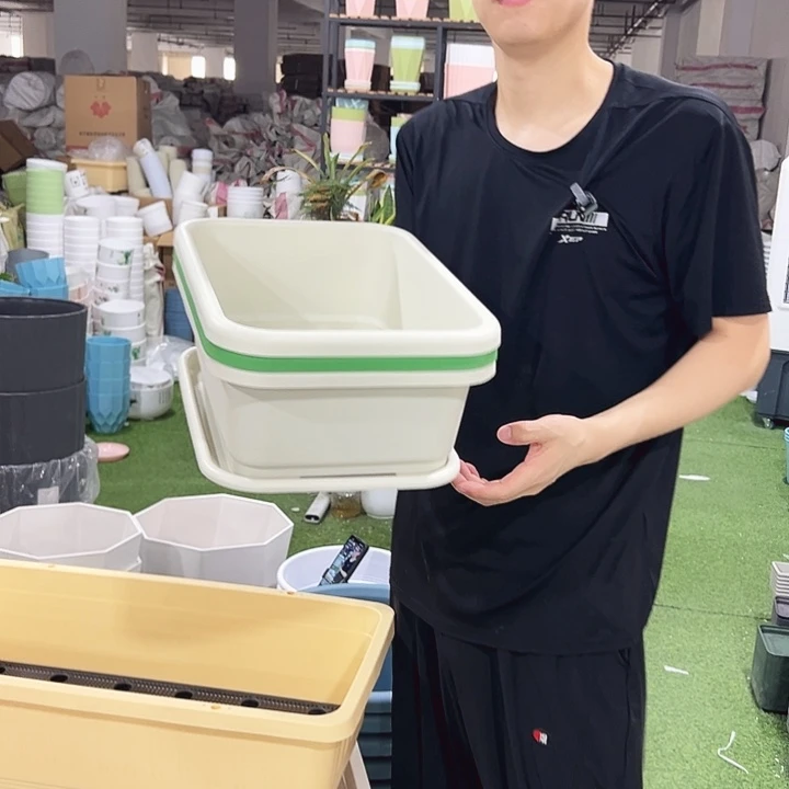 宽体小菜盆长38.5宽29高14.5混色带托3只