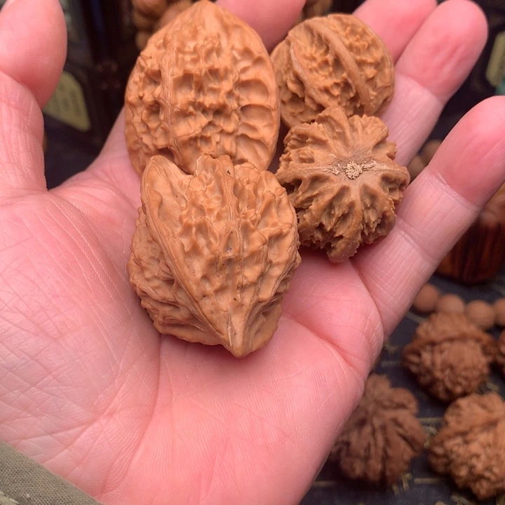 C*秦岭森林茂密和植被稀疏