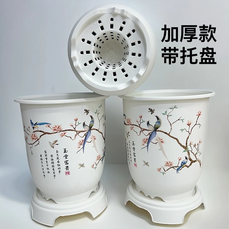 2个白200玉堂富贵兰花花盆带托盘【口径20高22左右】