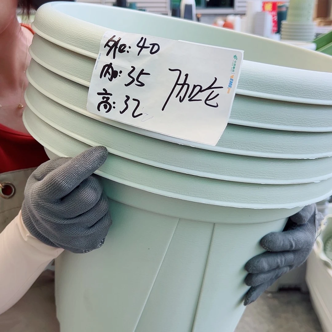 青山盆7#米白色5个无托