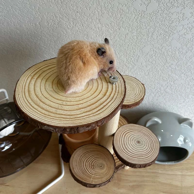 仓鼠实木多功能楼梯平台仓鼠置物平台仓鼠笼实木布景玩具