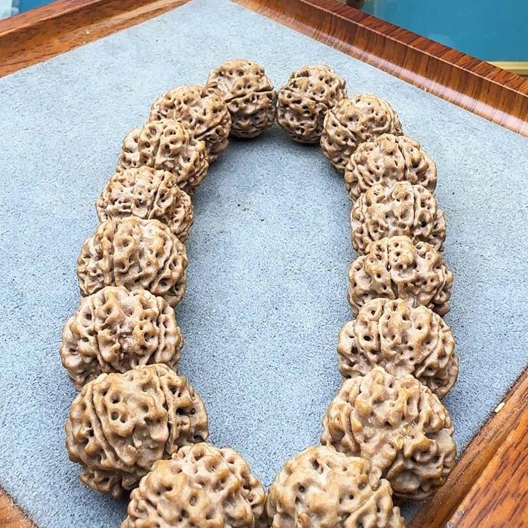 金刚菩提手串红****.铁籽梅花