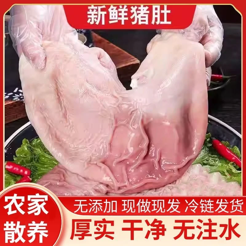 顺丰京东 拍2斤送1斤到手3斤（3-5个左右）新鲜农家土猪肚速冻锁鲜