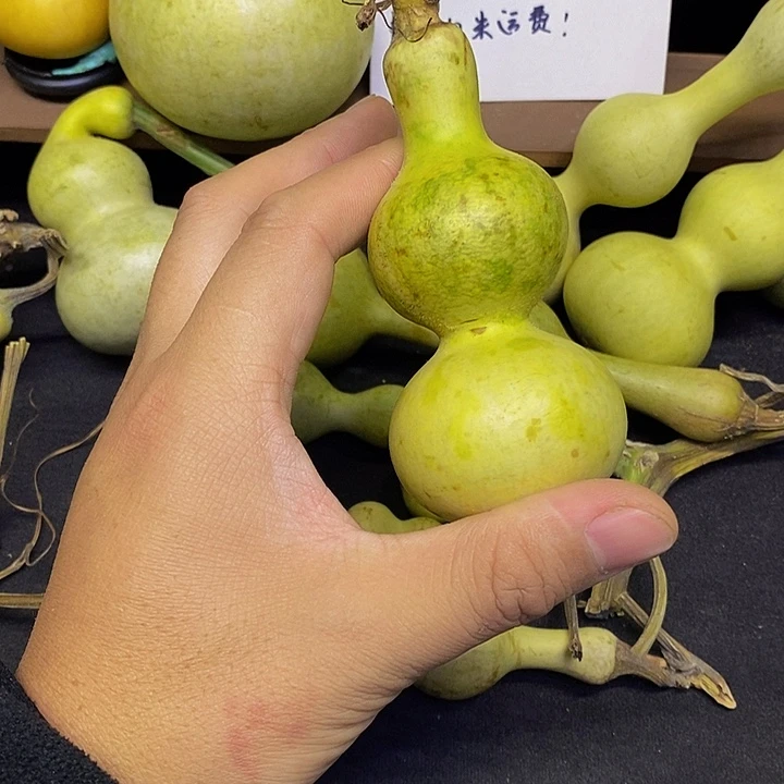佳*长嘴哈哈哈哈哈哈哈哈哈哈哈哈哈哈太