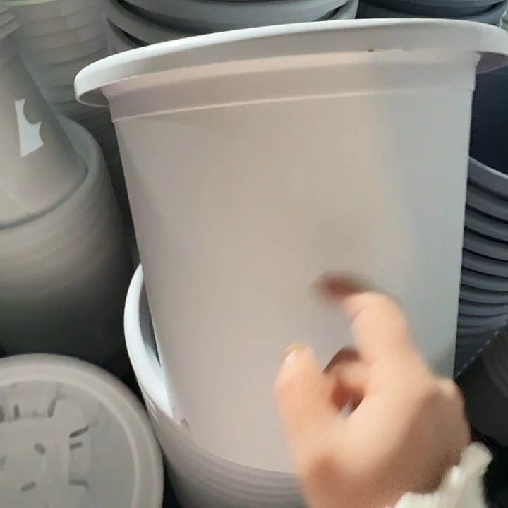 四季6号新灰白无托7个