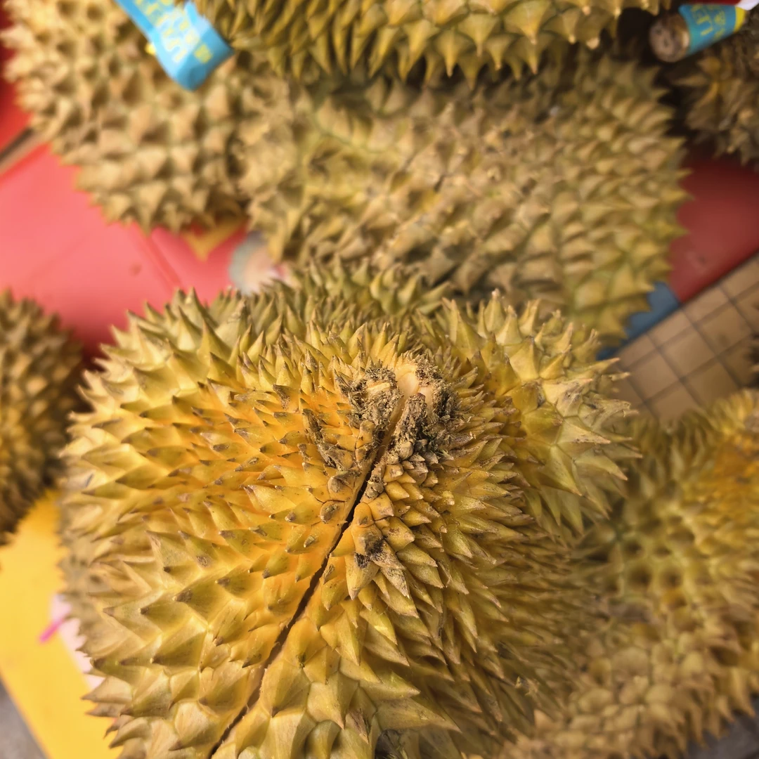 枕榴莲核小3到8斤新鲜热带水果整个带壳鲜果金枕越南