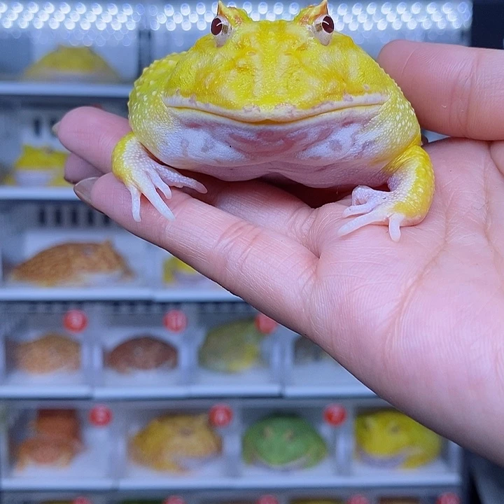 特价秒杀特价原价