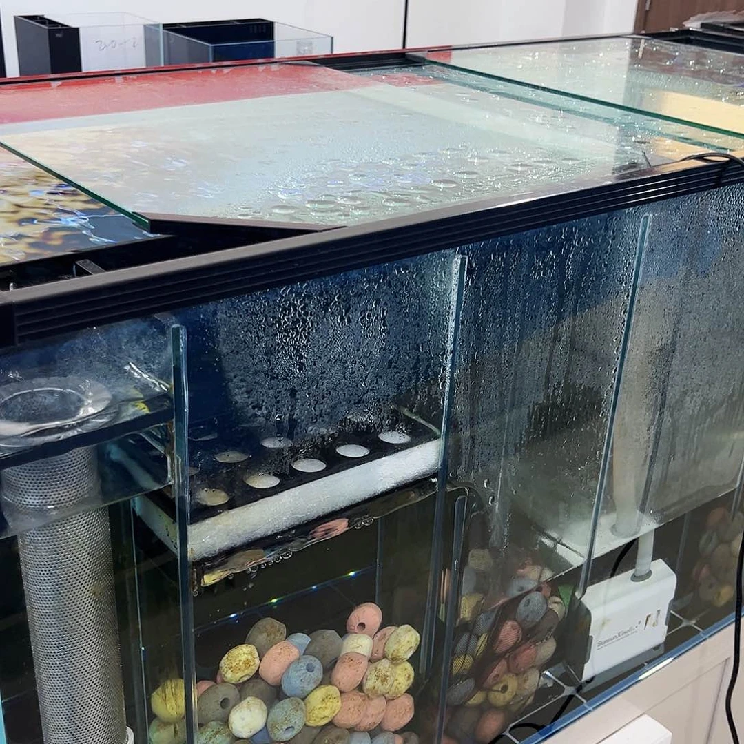 玻璃用****980.45.45背新款鱼马桶双