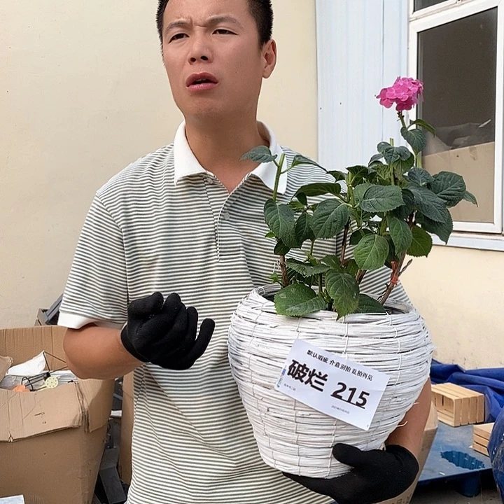 215直播间破烂玩意儿