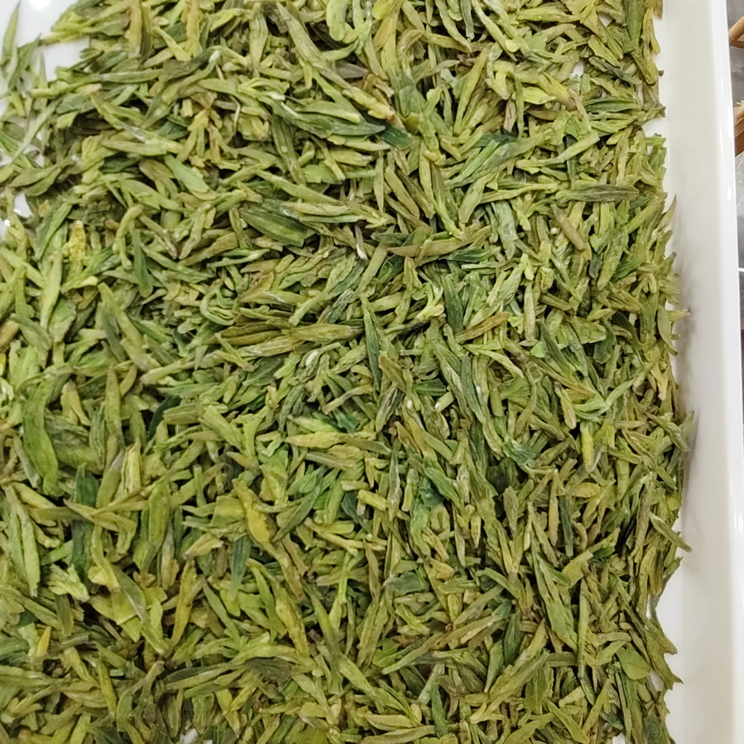 明前高山小芽龙井300款