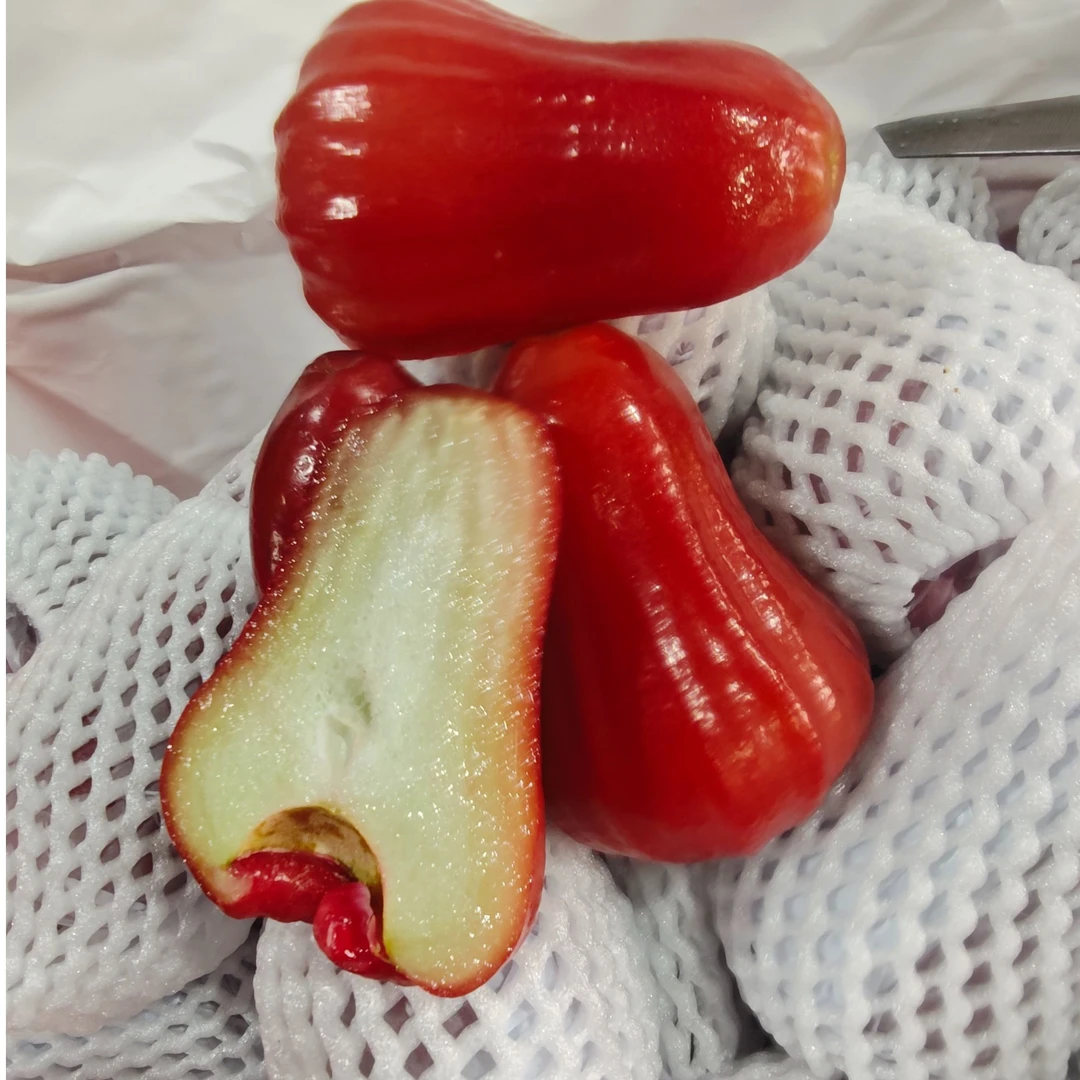 泰国空运 进口 莲雾 鲜甜多汁 松脆可口 2/4斤分装 【只发河南省】