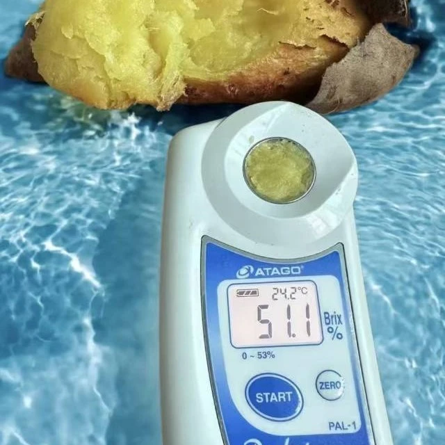 欢乐土拨薯净重2.5Kg家庭装1.5Kg