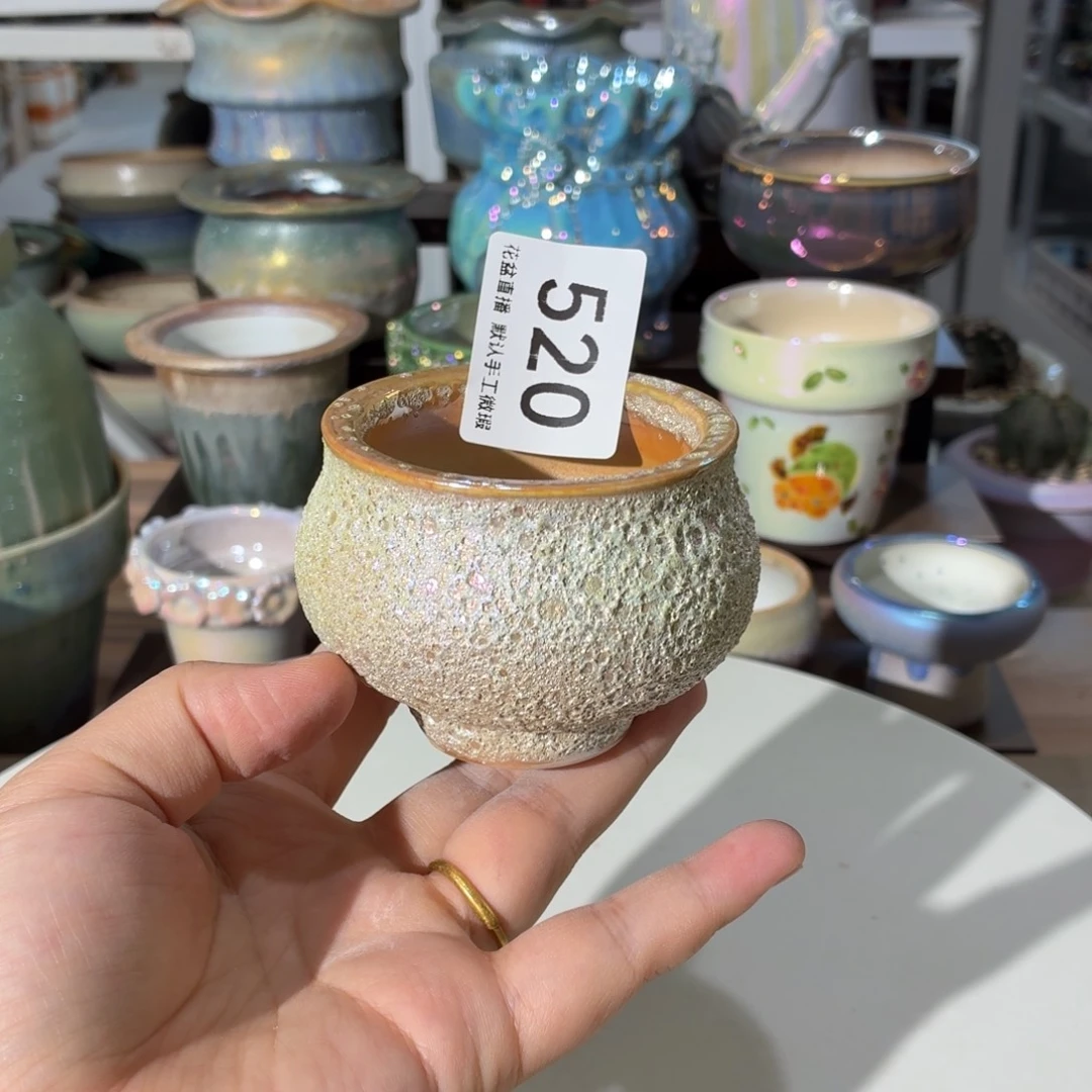 花盆花盆花盆花盆炫彩