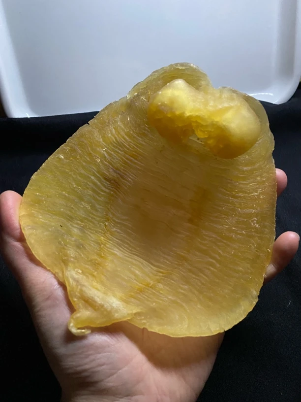 老赤嘴鱼胶一个按只卖