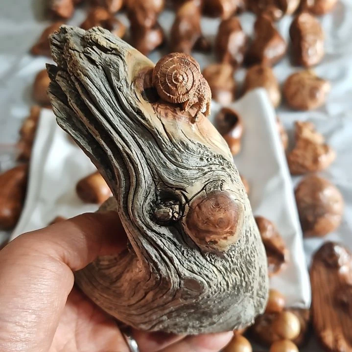 *****柏木崖柏木蜗牛摆件