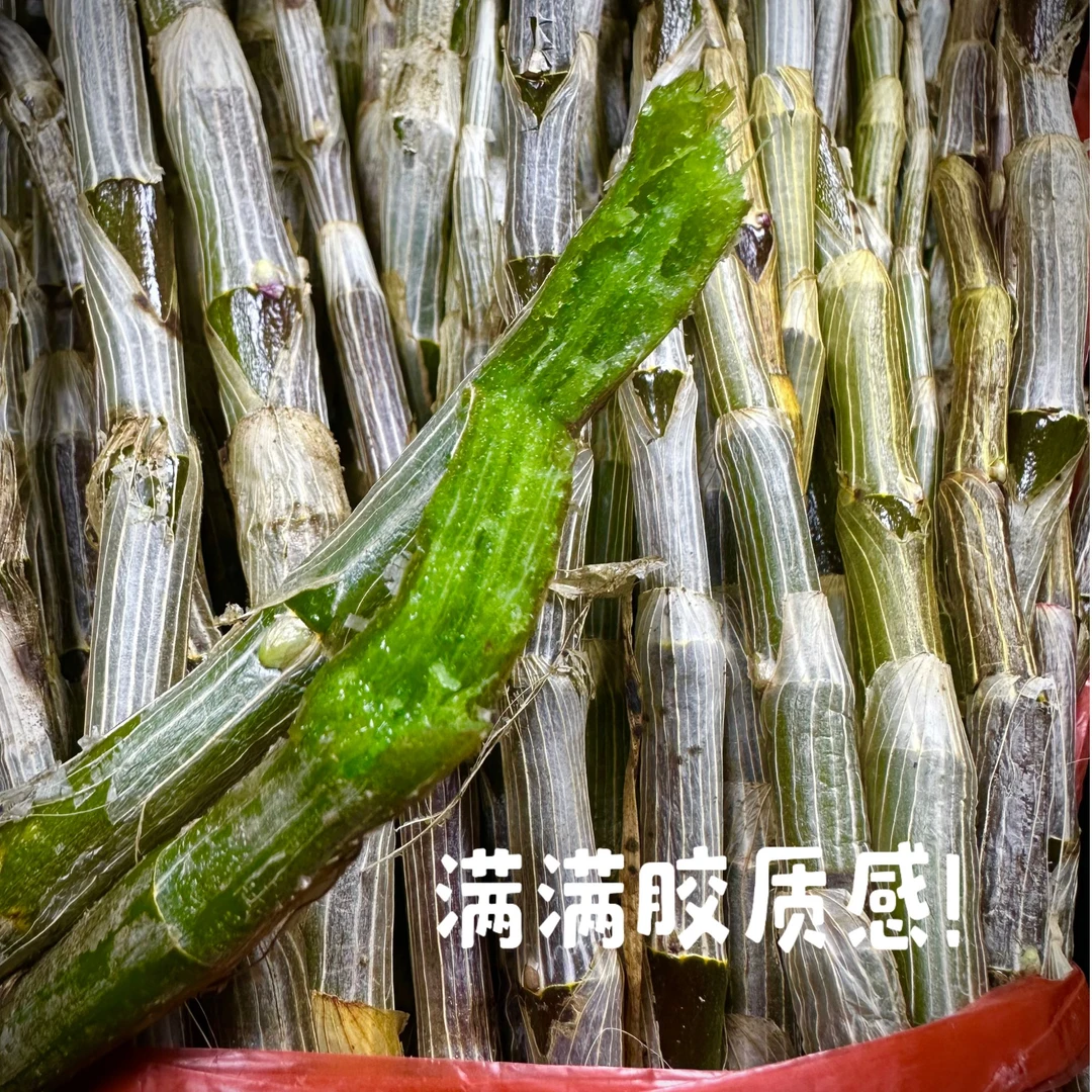 【山地王】石斛鲜条胶质浓可煲汤榨汁直接嚼云南正宗胶多渣少好石斛