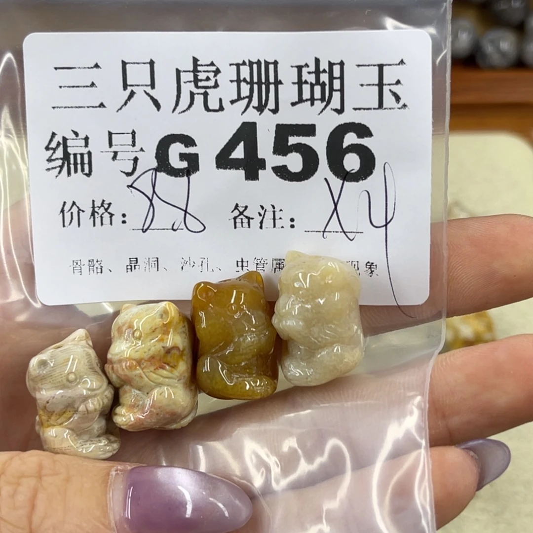八***猫硅化珊瑚（珊瑚玉）未镶嵌h
