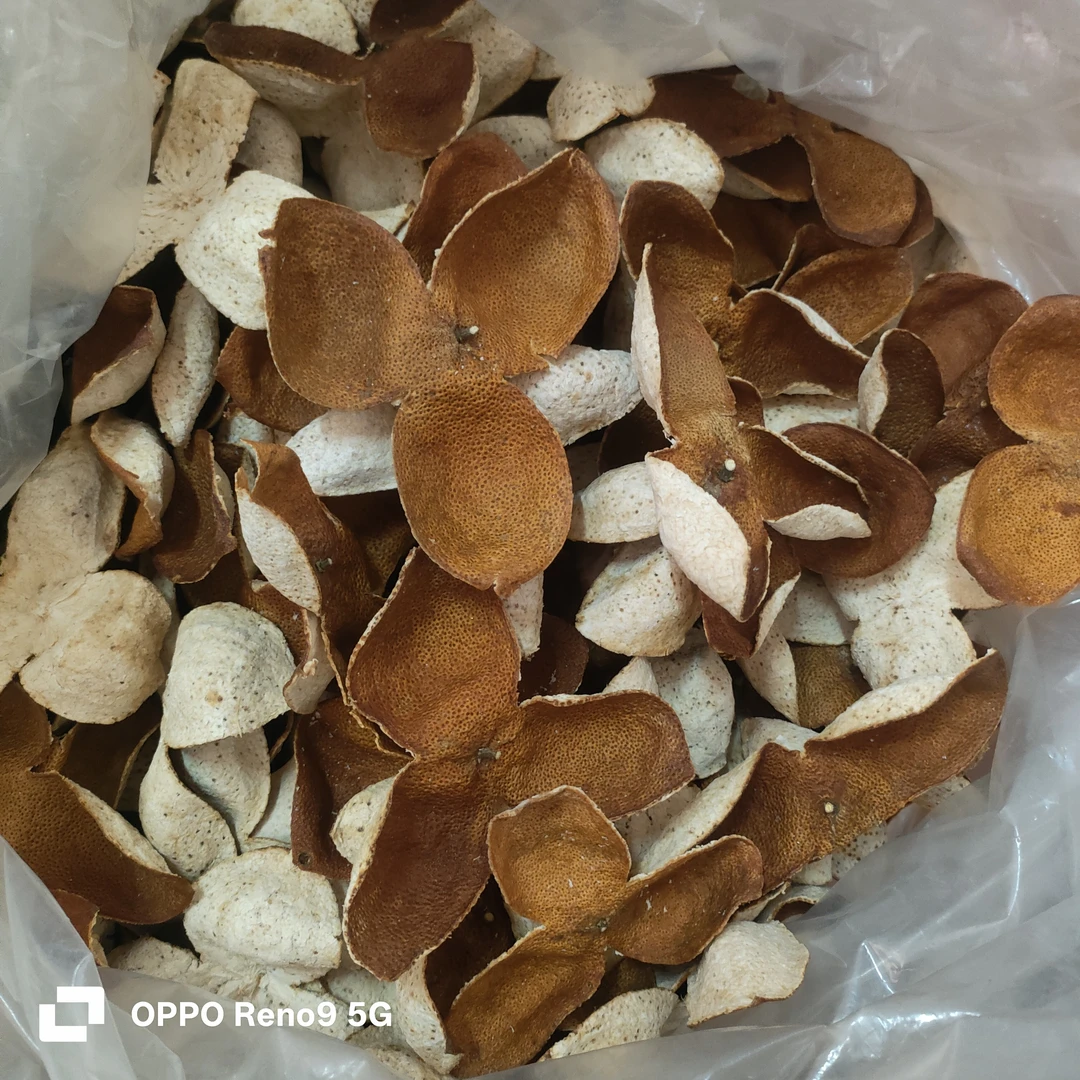 2024广西浦北茶枝柑32年老树陈皮大红（精品）