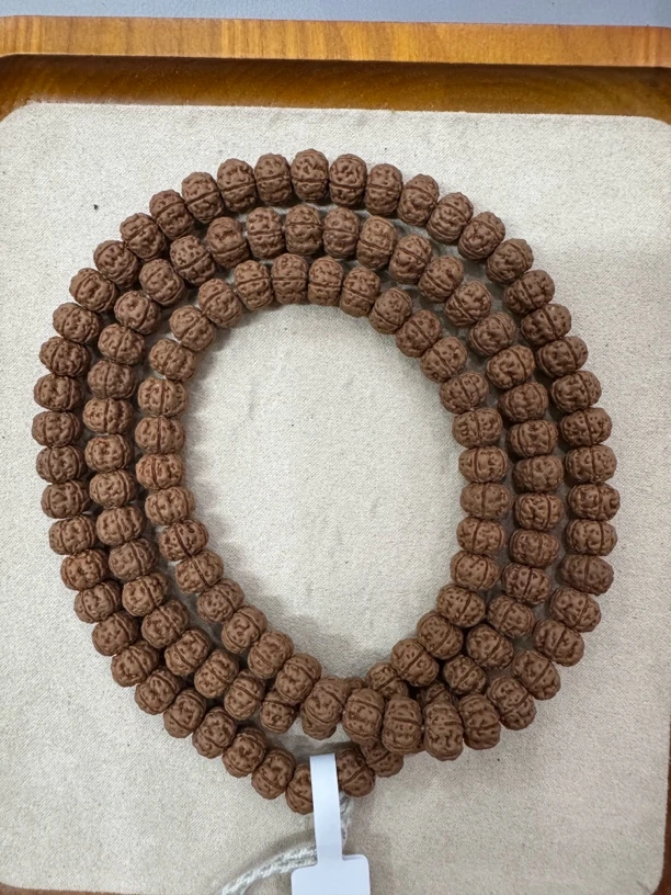 定制级勿里达纯血老树王108