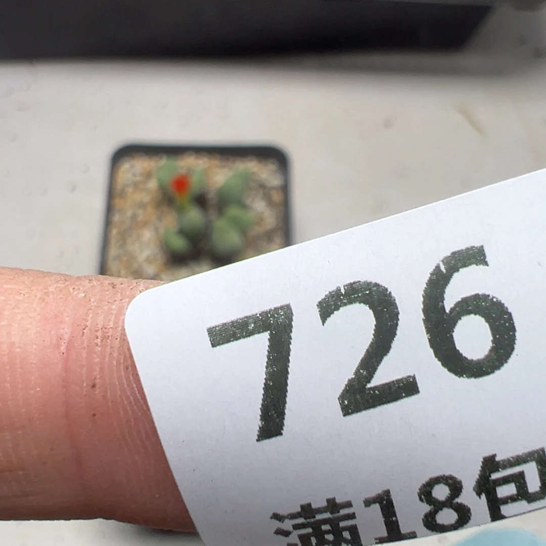 【闪购商品】726？