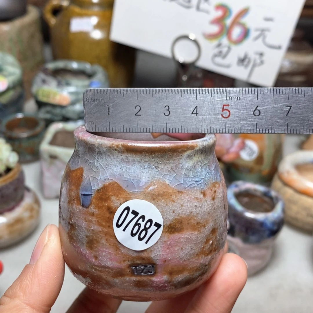 花盆拍5送一个小礼物