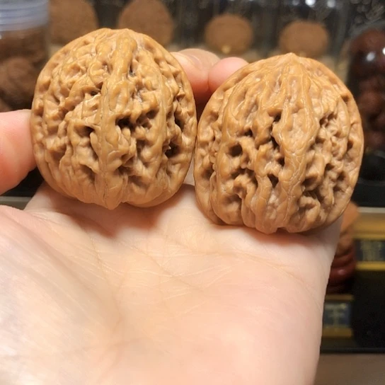高端小众：平谷九龙货头