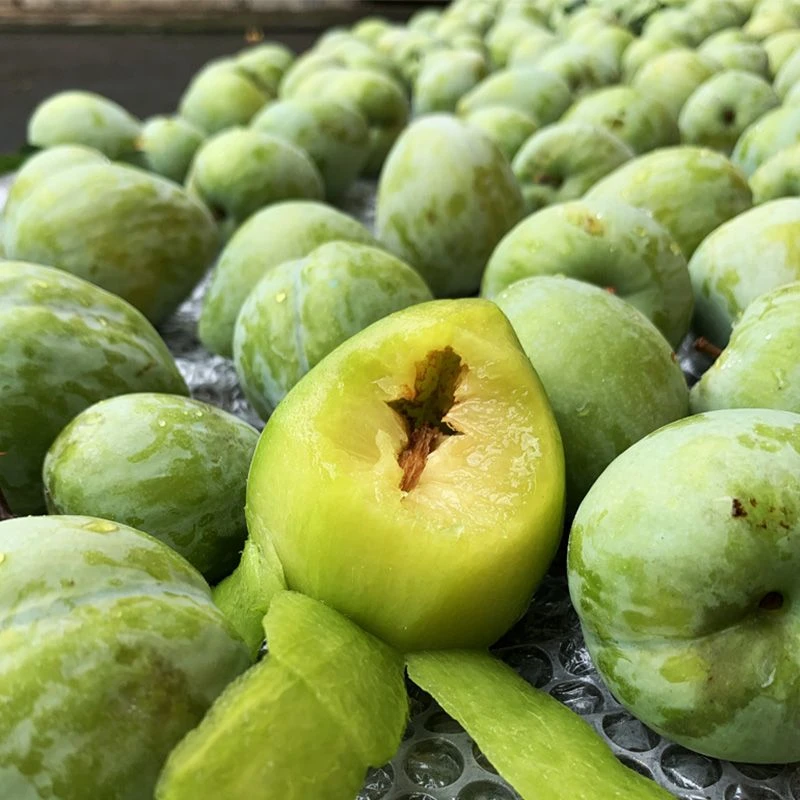 广西黄金奈李冰糖油奈李青脆奈李子当季新鲜水果现摘现发酸甜可口