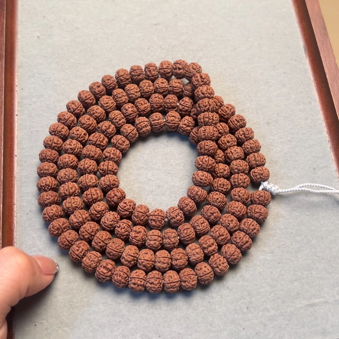 小***豆金刚菩提吊坠金刚