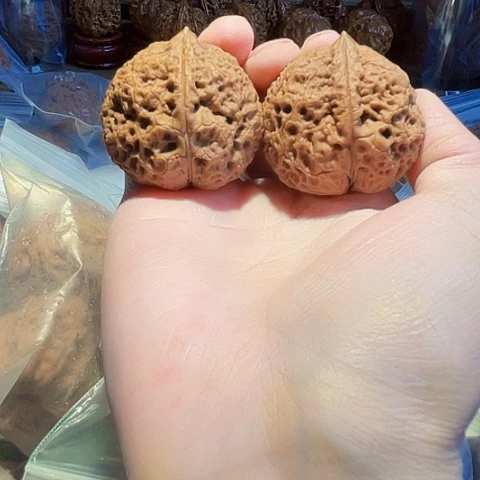 把件文玩核桃王八壳子带彩43左右