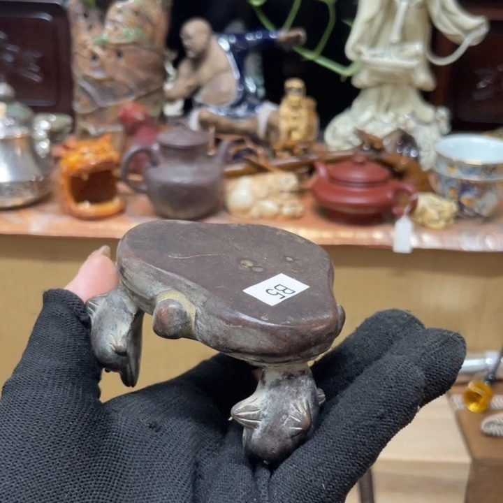 紫砂一路向阳而生