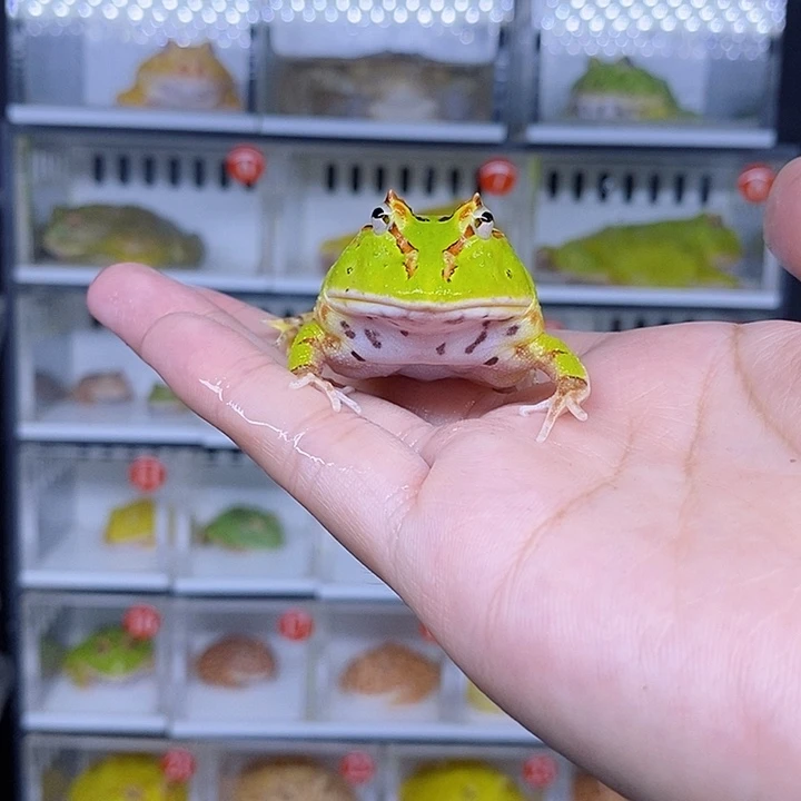 特价秒杀现货特价残