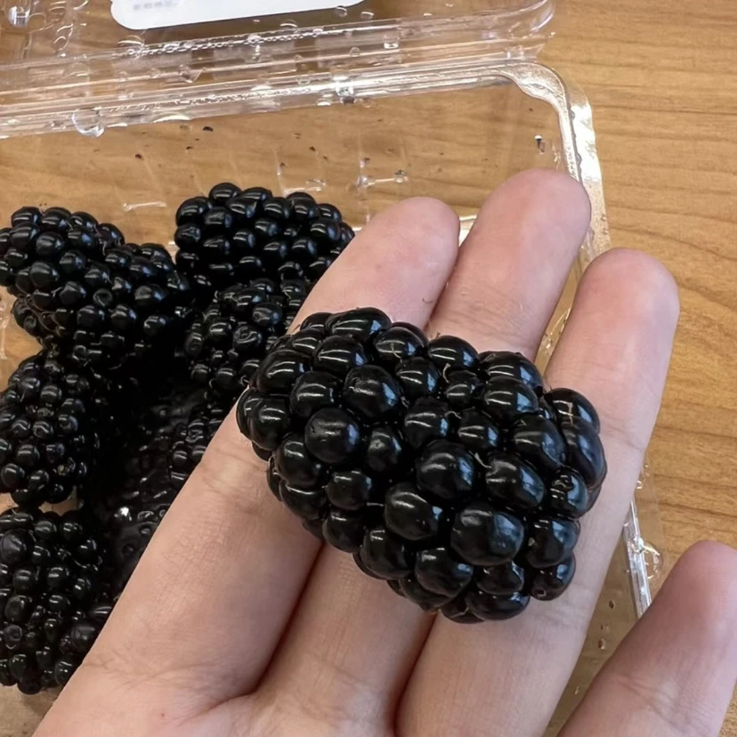 2斤大黑莓鲜果天然波森莓新鲜黑树莓黑泡似桑葚稀有摘发