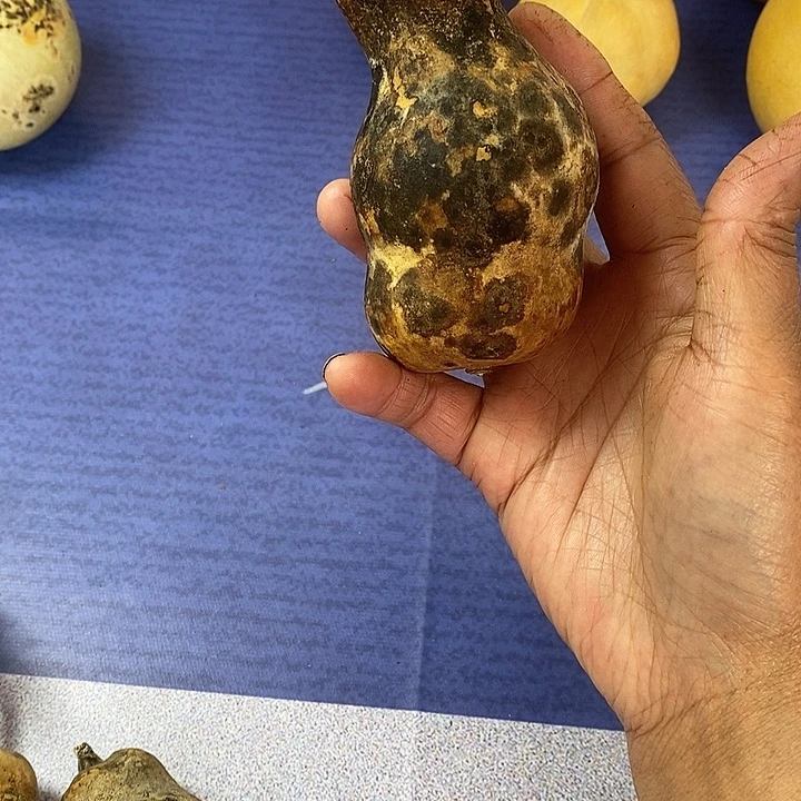 朵***朵葫芦手把件葫芦摆件