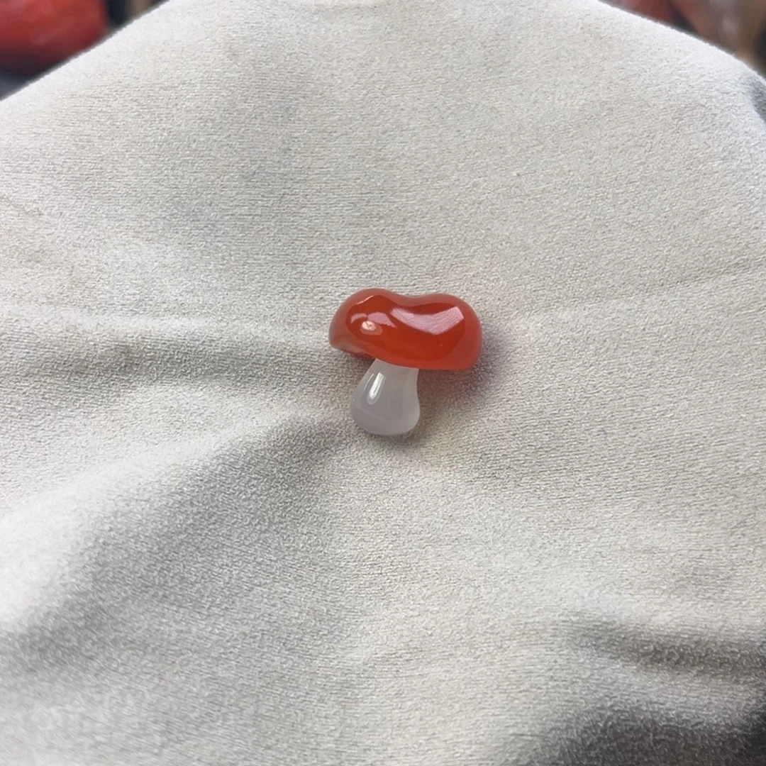 南红玛瑙未镶嵌颈饰