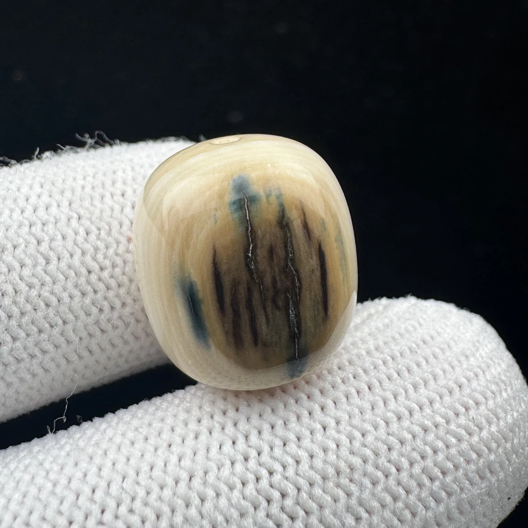 D6065天然猛犸牙 蓝皮桶珠14*15.8mm 支持鉴定 假一罚四