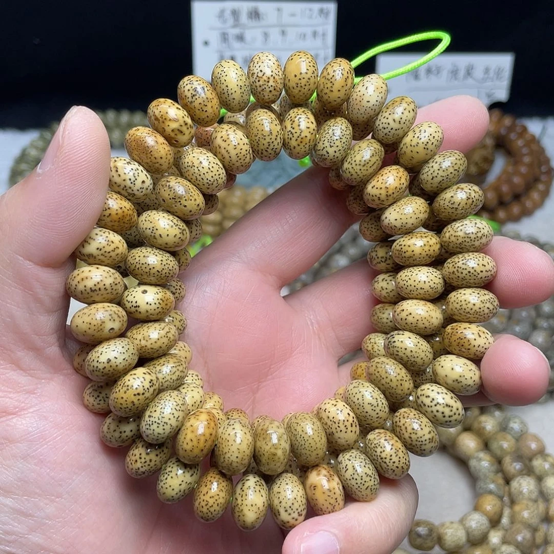 吊坠星月菩提13尺寸，老陈籽，带备籽