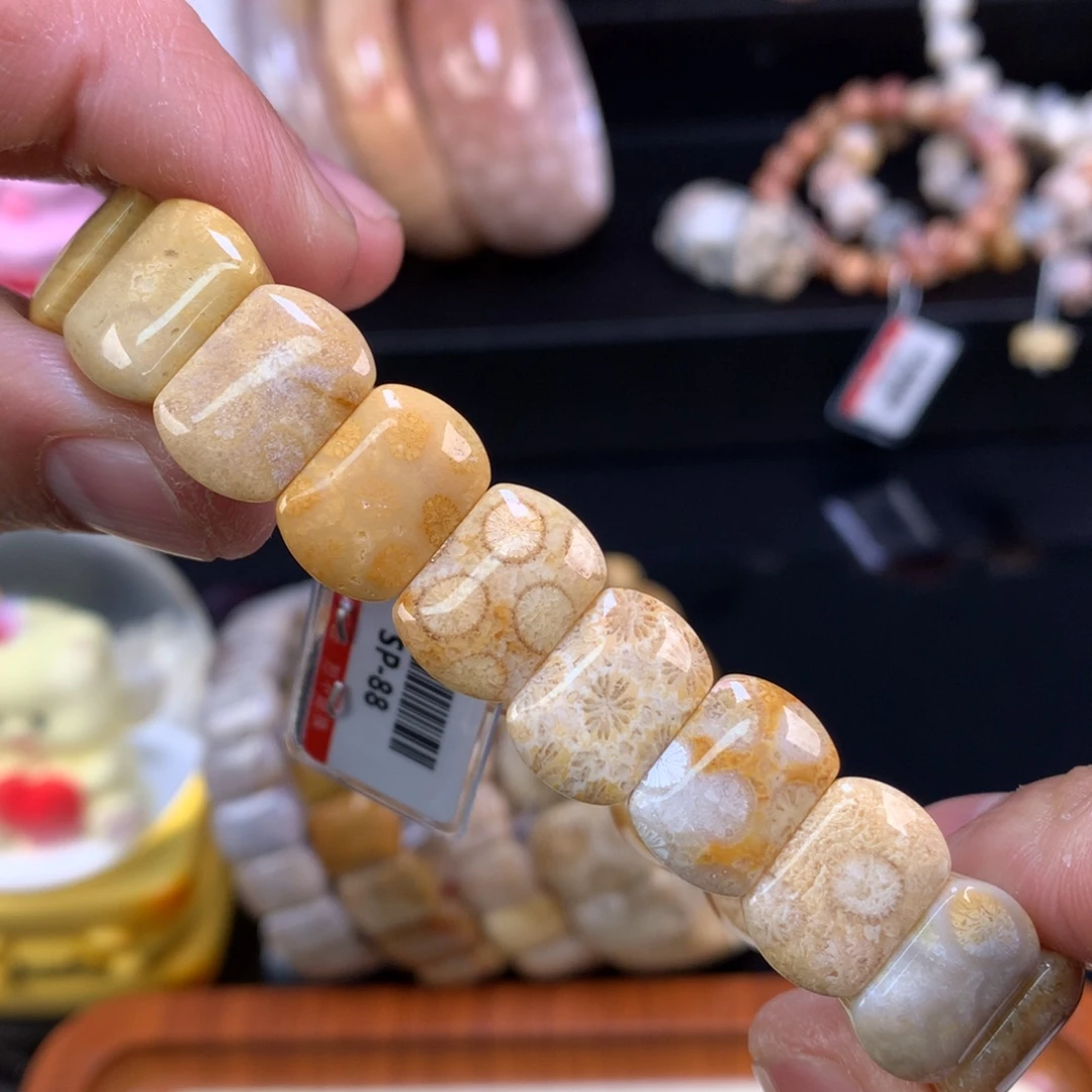 硅化珊瑚（珊瑚玉）未镶嵌颈饰95号mini版型豹纹