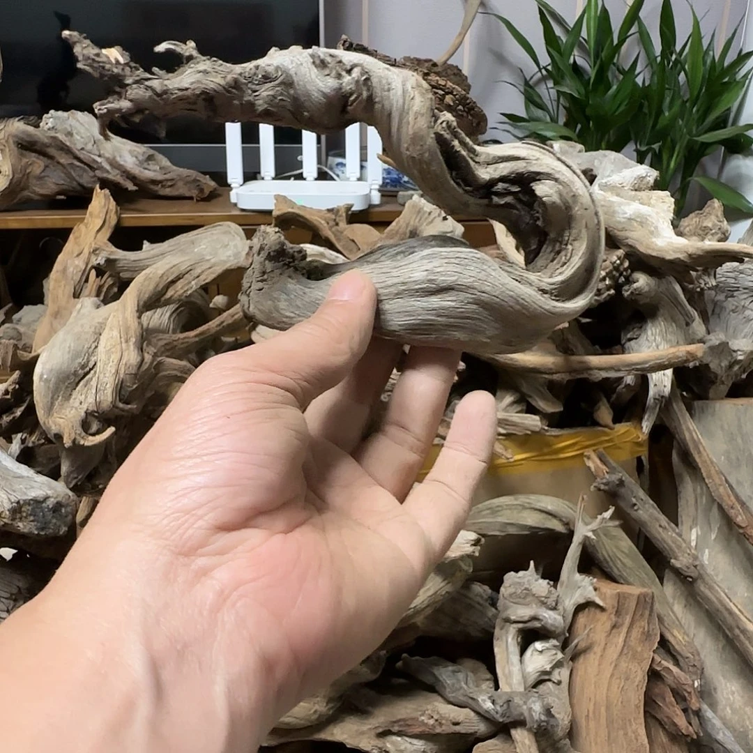 山***人木陈化到位坨坨疙瘩