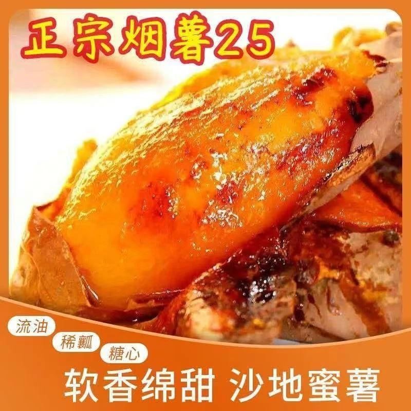 烟台25号烟薯蜜薯沙地蜜薯山东烟薯皮薄软糯山东直发
