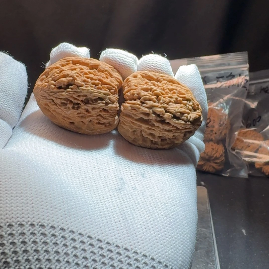 文玩核桃把件燕****！7号链接