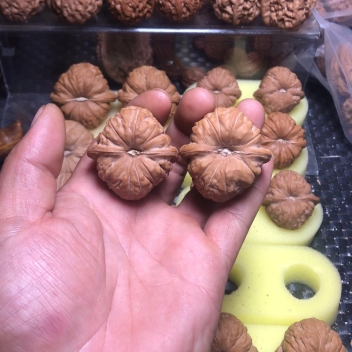 o***z大叶紫檀（黑酸枝木类）