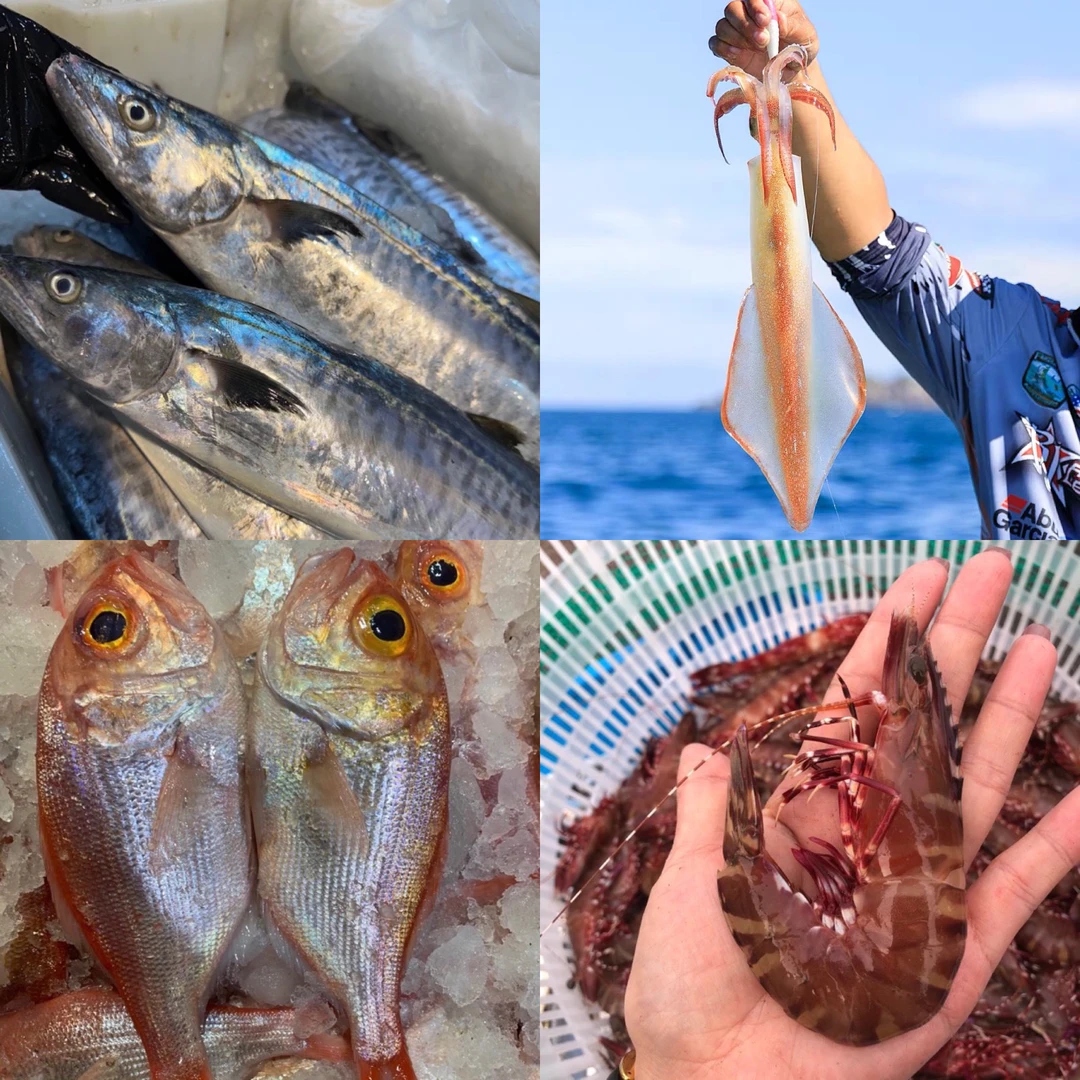 广东汕尾本港野生海捕拼单链接